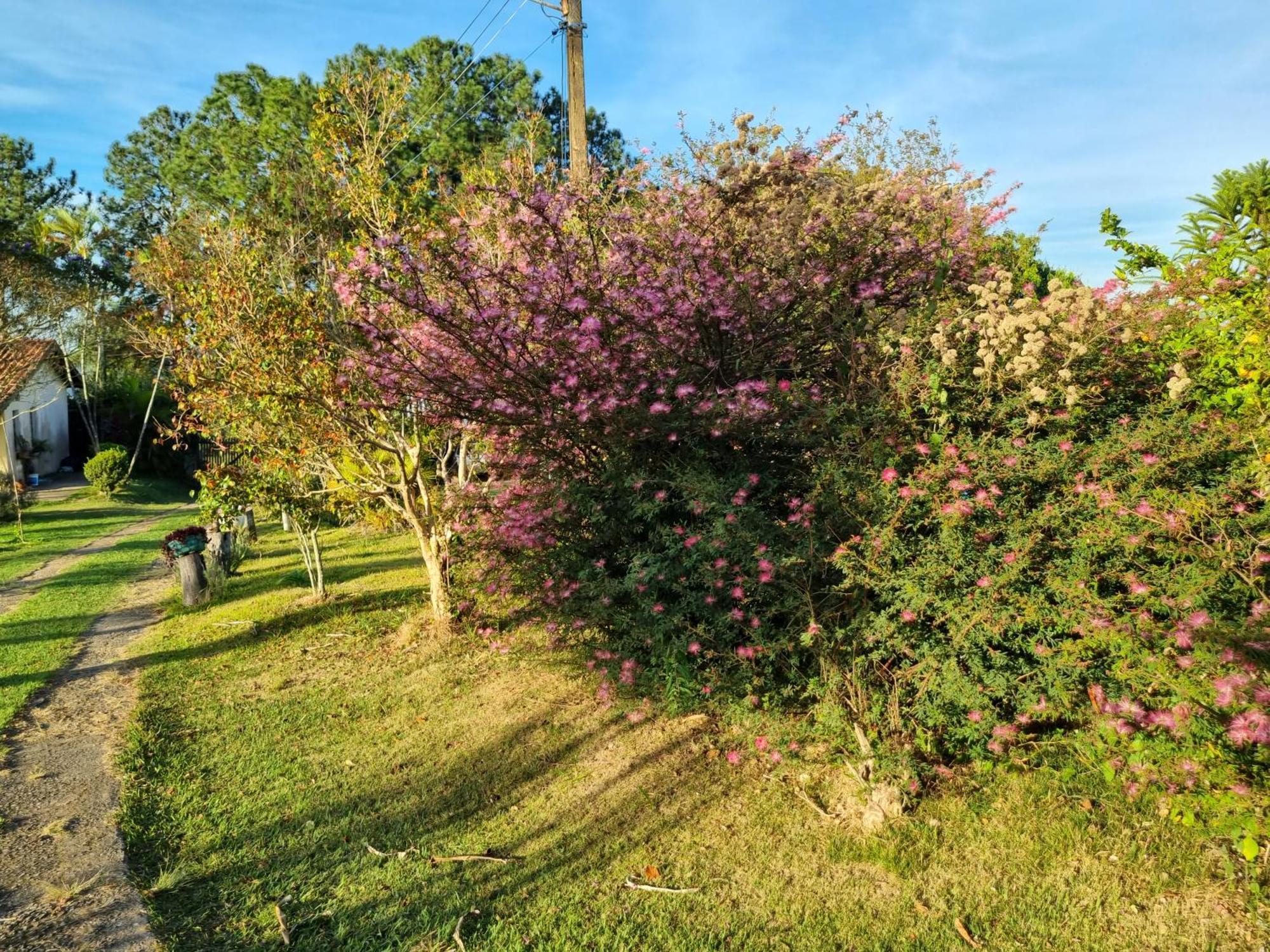 Chacara Aquila Villa São Roque Екстериор снимка